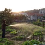 a woman watering her garden with a hose