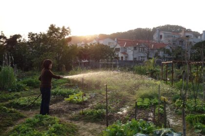 a woman watering her garden with a hose
