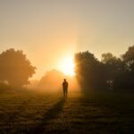 silhouette of person standing on green grass field during sunset