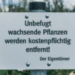 Stilvolles Metall-Hochbeet mit reifer Gemüseernte, das rückenschonendes Gärtnern ermöglicht.