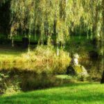 Ein Mähroboter schneidet selbstständig den Rasen, während im Hintergrund eine Person entspannt in einem Gartenstuhl sitzt und liest.