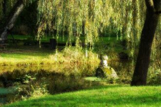 Ein Mähroboter schneidet selbstständig den Rasen, während im Hintergrund eine Person entspannt in einem Gartenstuhl sitzt und liest.