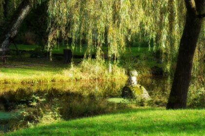 Ein Mähroboter schneidet selbstständig den Rasen, während im Hintergrund eine Person entspannt in einem Gartenstuhl sitzt und liest.