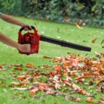 Laubbläser mit Auffangsack Laubbläser & Laubsauger