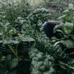 Reparatur einer automatischen Gartenbewässerung: Schlauch, Werkzeug und Tropfer auf Erde.