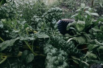 Reparatur einer automatischen Gartenbewässerung: Schlauch, Werkzeug und Tropfer auf Erde.