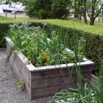 Metall-Hochbeet mit verschiedenen Gemüsepflanzen in Reih und Glied, umgeben von frischer Erde.