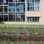 Ein solarbetriebenes Bewässerungssystem mit einem 15-Meter-Schlauch bewässert automatisch mehrere Blumentöpfe auf einer sonnigen Terrasse.