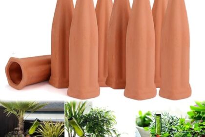 Bewässerungssystem 8 Stück Tonbewässerungskugeln für Garten